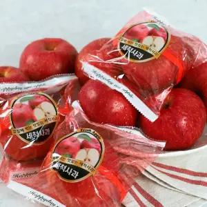 갤러리아 [오늘아침사과] 25년 햇 오늘아침 세척사과 5kg 25과