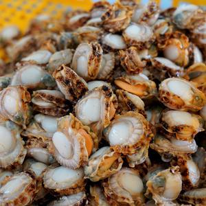 한그슥 국내산 비단 가리비 순살 500g 1kg 자숙 가리비살