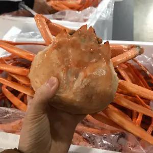 포항 구룡포 자숙 연지 홍게 3kg (6~7미) 고급형 특A급 수율 90%내외