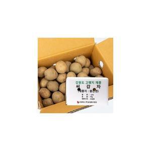 강원도 왕산면 채종 씨감자 수미 4kg 보급종 감자씨