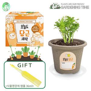 [식물영양제선물]오늘도 새싹 - 지피포트 당근 / 채소 모종키우기 원예체험 식물키우기 화분기르기 꽃집사