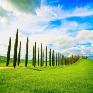 [토스카나PLUS] 서유럽 3국 11일 아시아나직항+융프라우정상레스토랑+루체른베른+발도르차+피사