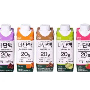 빙그레 더단백 5종 250ml 18개 초코 커피 카라멜 딸기 멜론 단백질 프로틴