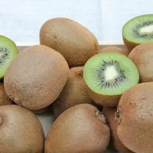 국내산 키위 10kg(181-235과/주스용)