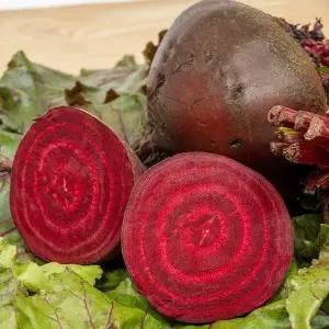 아삭아삭 고당도 비트 제주도 레드비트 10kg