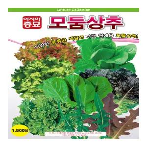 모둠상추 씨앗(1500립)
