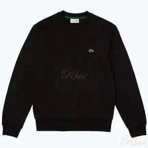 라코스테 25FW 오가닉 브러쉬드 코튼 스웨트셔츠 SH9608 031