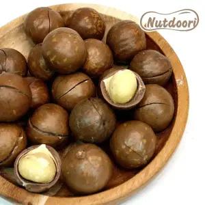 25년 수확 베트남 통마카다미아 1kg 까먹는 껍질 마카다미아 인쉘