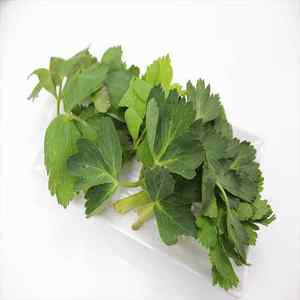 여수 금오도 해풍 맞고 자란 노지 방풍나물 4kg