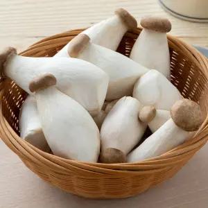 국내산 새송이버섯 3봉 1.2kg 내외