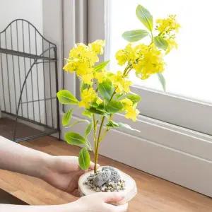 [핫트랙스]유채꽃 화분 조화그리너리 장식 나무 set 20x38cm