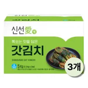 [보금푸드] 신선애 갓김치 5kg x 3개
