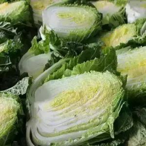 땅끝 절임배추20kg 김장예약