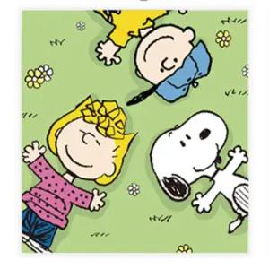 다라파 DIY 그리기 페인팅 피너츠 스누피 들판 25X25 명화그리기세트