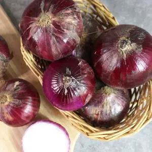 [더조은푸드] 단단한 무안 자색양파 10kg (특대)