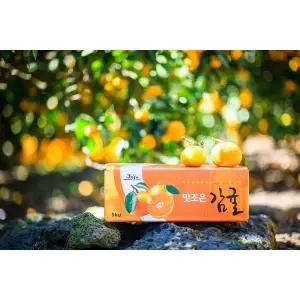 [제주땡큐베리팜영농조합법인][12%할인쿠폰] 제주 비가림 감귤 혼합과 5kg