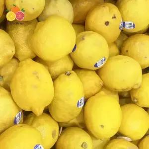 가정용 실속형 못난이 레몬 3kg