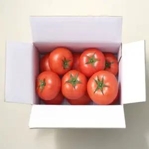 논산 산지직송 팜팜 완숙 토마토 2kg