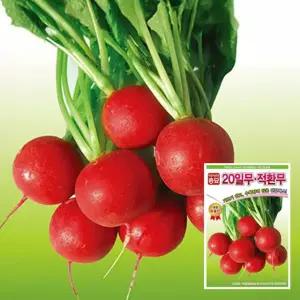 20일무 적환무 12g 소형 적무 · 무씨앗 텃밭재배 종자(AS)