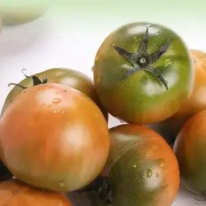 [단 하루 행사] 부산 대저 토마토 2.5kg 짭짤이토마토