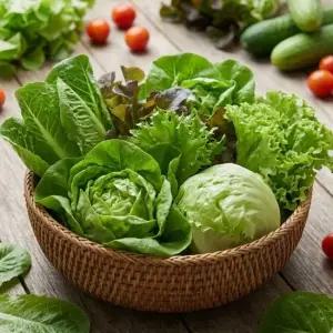 [팜보스]유러피안 샐러드 쌈채소 건강식단 500g 800g 1kg