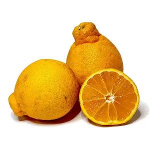 [아침이슬농원] 제주 고당도 써니트 한라봉 혼합과 5kg