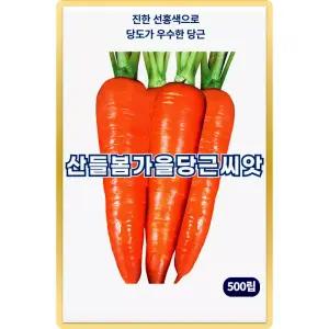 산들 봄가을 당근 씨앗 500립 당도 우수한 봄 가을 당근씨 종자