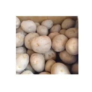 씨감자 수미4kg 10kg 20kg 보급종 강원도 고랭지 감자심기