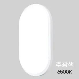 실외 벽조명 LED 타원형 20W 주광색 대 주차등 벽등 터널등 입구등