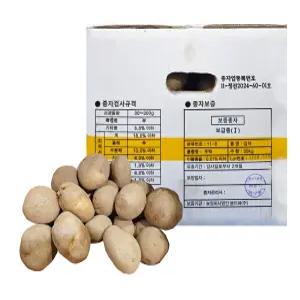 강원도 왕산면 두백 씨감자 4kg 감자씨 생물