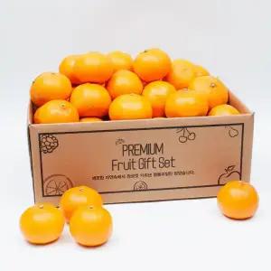 고당도 제주 천혜향 못난이 가정용 5kg