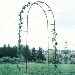 아치형 정원 식물 넝쿨대 장미꽃 조립 포도나무 프레임 덩쿨대