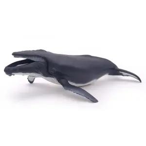 파포 동물학습 모형완구 혹등 고래 (56001)