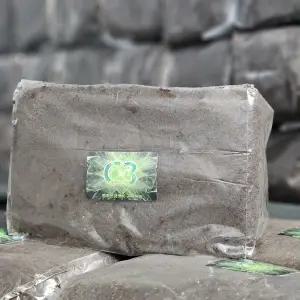 장수풍뎅이사슴벌레 발효톱밥 5리터 C1톱밥 C3톱밥 C톱밥 곤충사육 전문가들이 애용하는 발효톱밥 C1C3CG