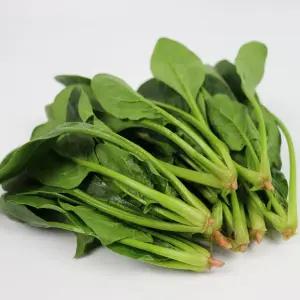 만경강변 뻘흙에서 키운 영양 시금치 1kg/2kg