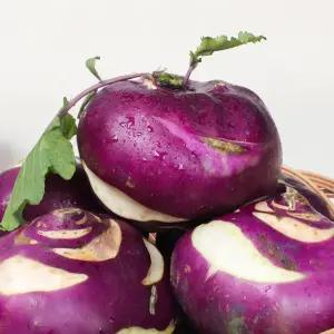 콜라비효능 제주 햇 국내산 10kg 5kg