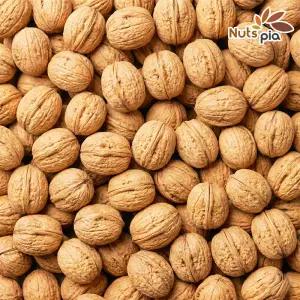 25년산 햇 미국산 피호두 500g 견과류 호두 알호두 대보름 부럼