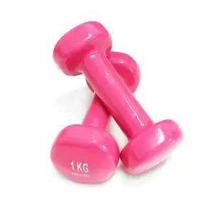 NEW HELEN PVC 미용 아령 2kg (1 kg X2) 핑크 덤벨 근력 운동