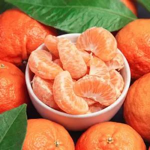 미국산 고당도 감귤 만다린 40-60과 4kg내외