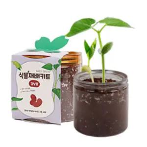 먹을수있는 식물키우기키트 씨앗키트 딸기 바질 당근 방울토마토 식물키트