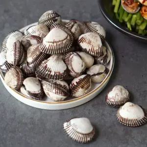 당일조업 벌교 새꼬막 2kg(소/중/상/대)/GT