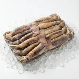 냉동 베이트 오징어 3kg 육동 오징어 통오징어 업소용 가정용