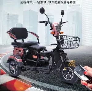 전기 바이크 출퇴근 2인승 600W 3륜 오토바이 전기차