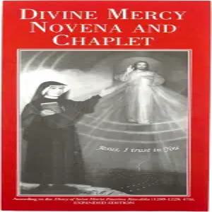 마을 선물 수입업자 신성한 자비 노베나와 채플릿 소책자 - 10팩 멋진 가톨릭 액세서리 지침이 포함된 기도