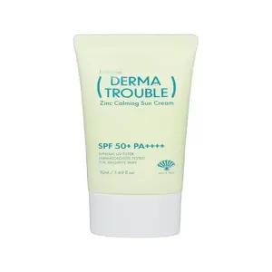 후시다인 더마 트 러블 징크 카밍 선크림 50ml(SPF50+)(SH)