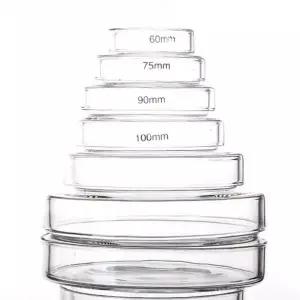 호환 실험실 기기 유리 페트리 접시 박테리아 세포 고 붕규산염 60mm 75mm 90mm 100mm 120mm 150mm