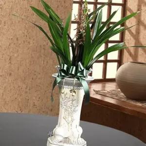 (다올)산천보세 동양란 화분 꽃배달 고백 결혼 생일 돌잔치