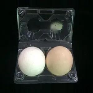 계란 2구케이스 tgi5+6OOs