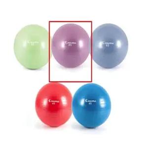 헬스짐볼 65cm 라일락 임산부운동기구 임산부짐볼