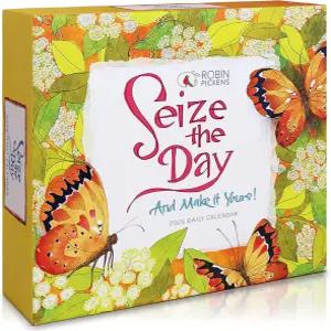 시즈 더 데이 2026 데일리 데스크 캘린더 로빈 피킨스의 하루 페이지 영감 캘린더와 매일의 고양된 명언 및